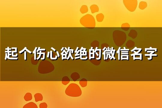 起个伤心欲绝的微信名字(优选134个)