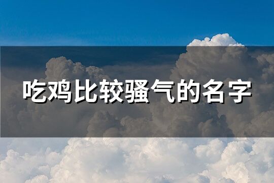 吃鸡比较骚气的名字(共279个)