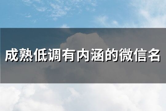 成熟低调有内涵的微信名(909个)