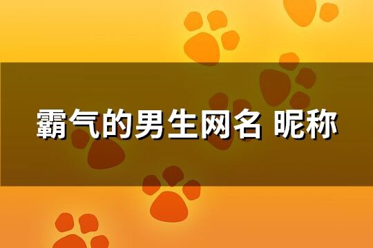 霸气的男生网名昵称(优选598个)