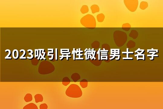 2023吸引异性微信男士名字(共1533个)