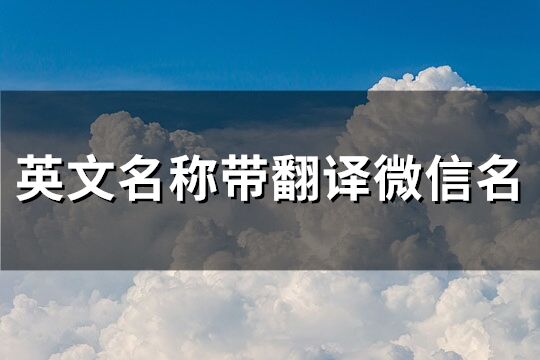 英文名称带翻译微信名(精选136个)