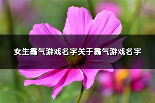 女生霸气游戏名字关于霸气游戏名字(共569个)