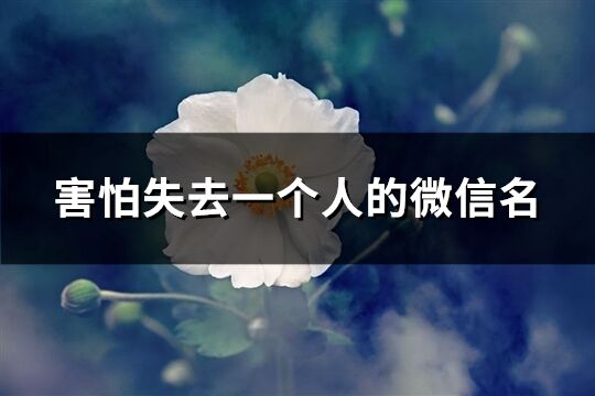 害怕失去一个人的微信名(优选92个)