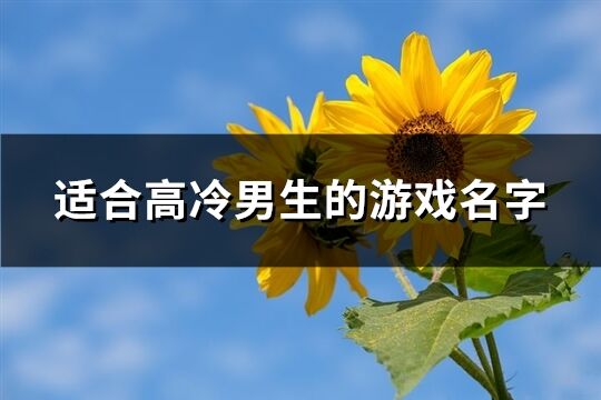 适合高冷男生的游戏名字(精选507个)