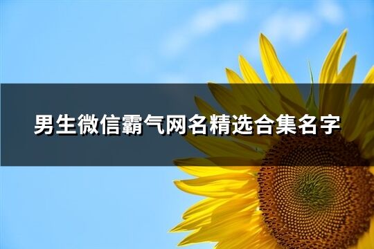 男生微信霸气网名精选合集名字(精选263个)