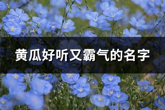 黄瓜好听又霸气的名字(共97个)