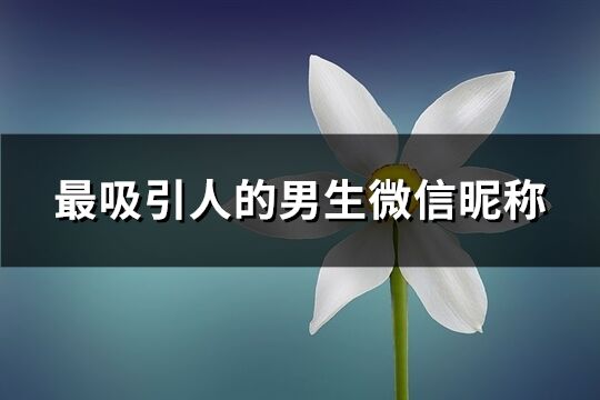 最吸引人的男生微信昵称(共301个)