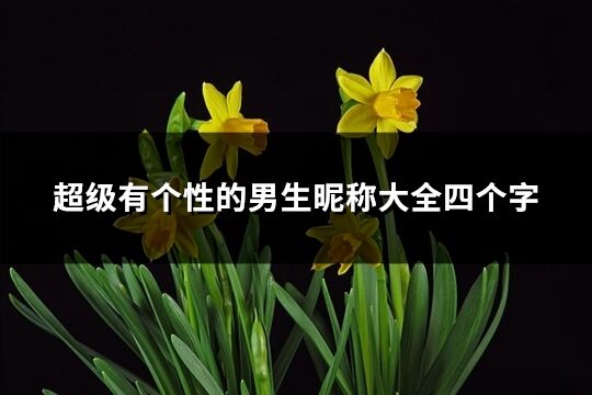 超级有个性的男生昵称大全四个字(共710个)