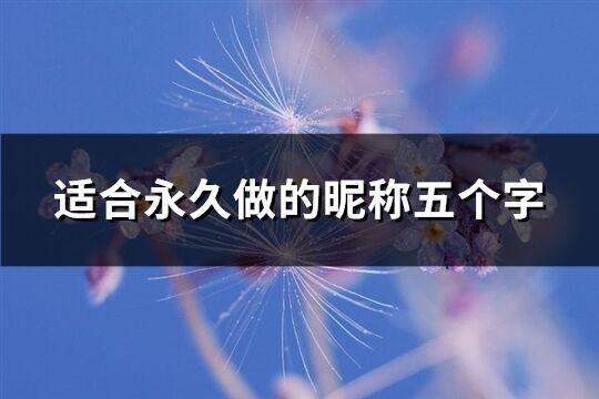 适合永久做的昵称五个字(优选255个)