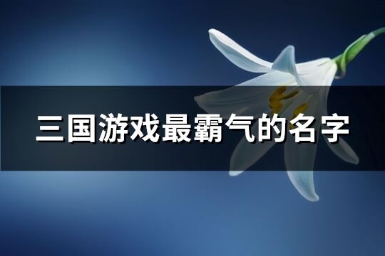 三国游戏最霸气的名字(共255个)