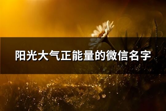 阳光大气正能量的微信名字(优选888个)