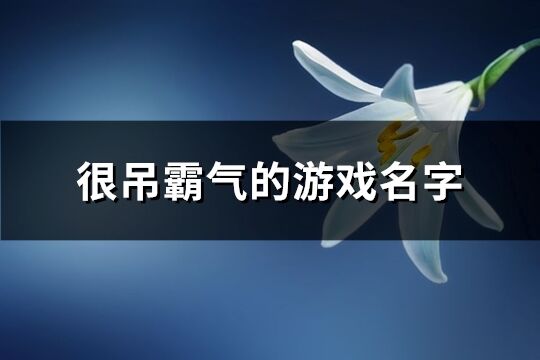 很吊霸气的游戏名字(精选488个)