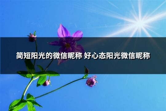 简短阳光的微信昵称 好心态阳光微信昵称(精选452个)