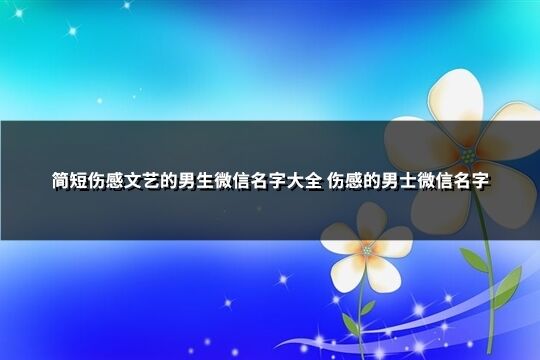 简短伤感文艺的男生微信名字大全 伤感的男士微信名字(316个)