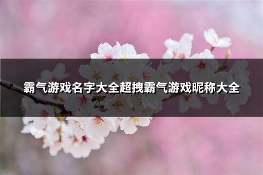 霸气游戏名字大全超拽霸气游戏昵称大全(优选1019个)