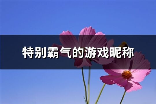 特别霸气的游戏昵称(949个)