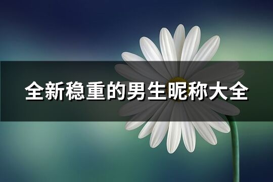 全新稳重的男生昵称大全(共1509个)