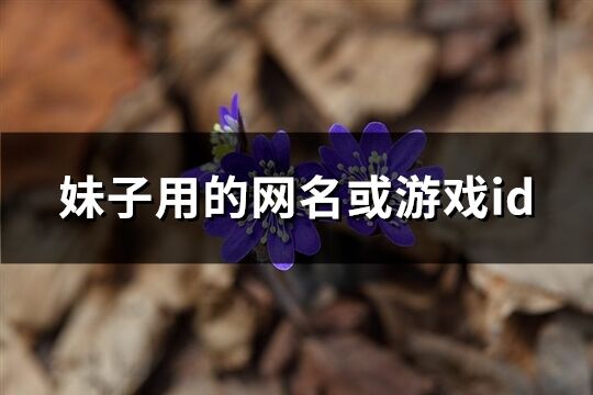 妹子用的网名或游戏id(共411个)