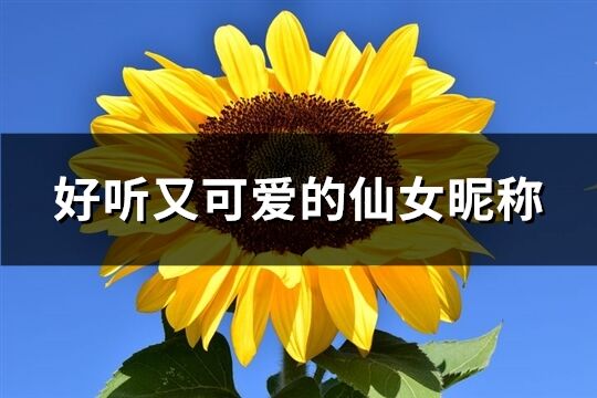 好听又可爱的仙女昵称(144个)