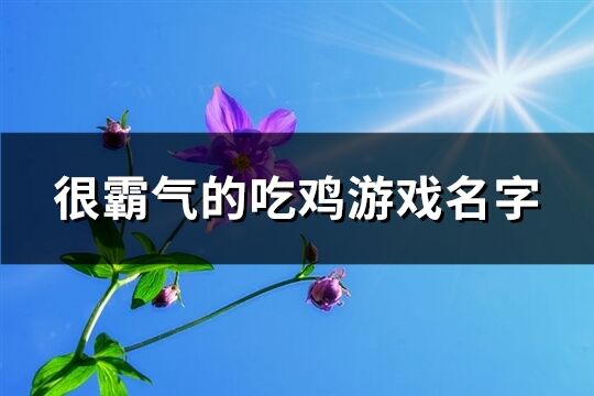 很霸气的吃鸡游戏名字(精选449个)