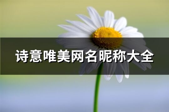 诗意唯美网名昵称大全(精选464个)