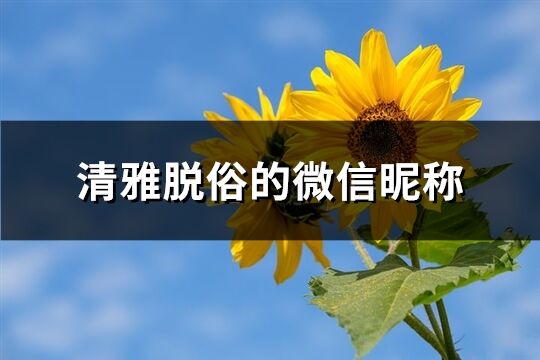 清雅脱俗的微信昵称(精选156个)