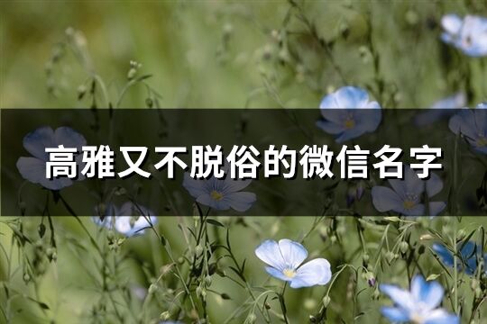 高雅又不脱俗的微信名字(优选468个)