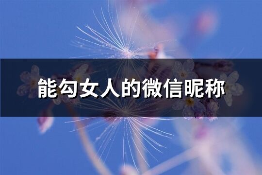 能勾女人的微信昵称(精选227个)