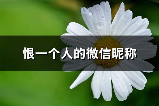 恨一个人的微信昵称(精选97个)