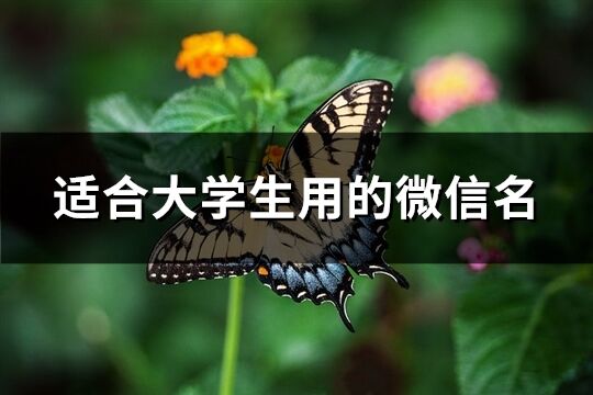 适合大学生用的微信名(优选121个)