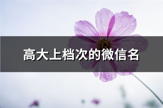 高大上档次的微信名(优选912个)