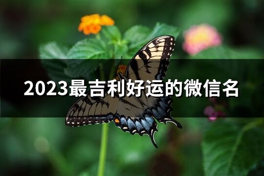 2023最吉利好运的微信名(精选5786个)