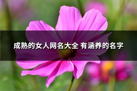 成熟的女人网名大全 有涵养的名字(精选262个)