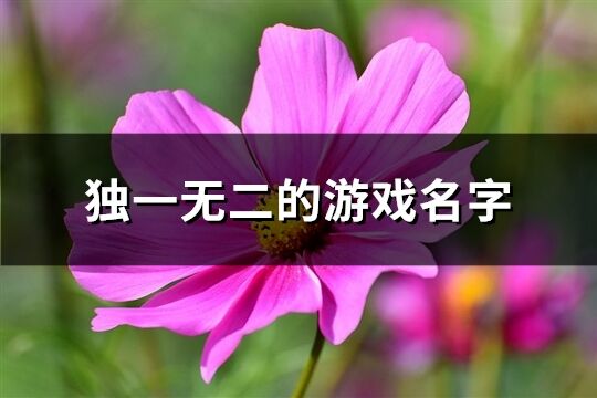 独一无二的游戏名字(376个)