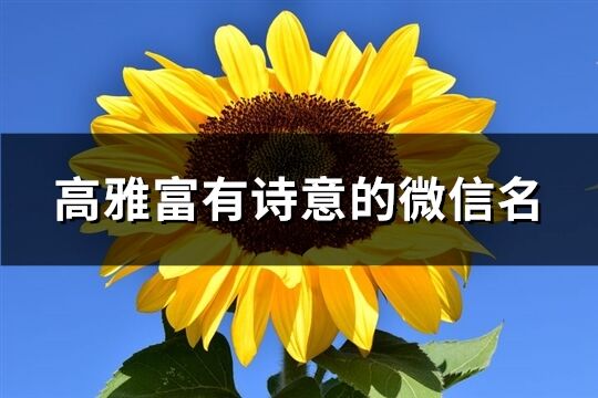 高雅富有诗意的微信名(共477个)