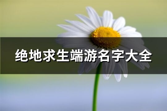 绝地求生端游名字大全(精选380个)