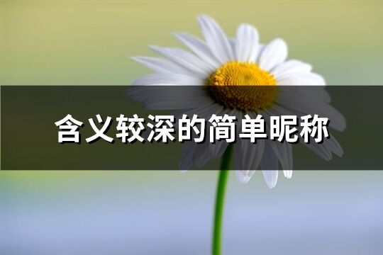 含义较深的简单昵称(609个)