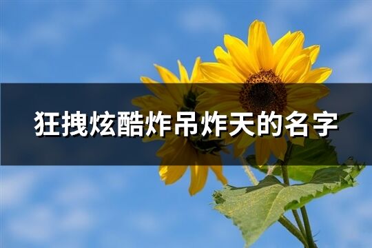 狂拽炫酷炸吊炸天的名字(共144个)