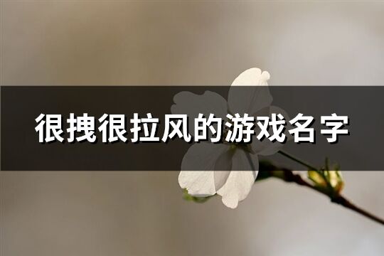 很拽很拉风的游戏名字(优选441个)