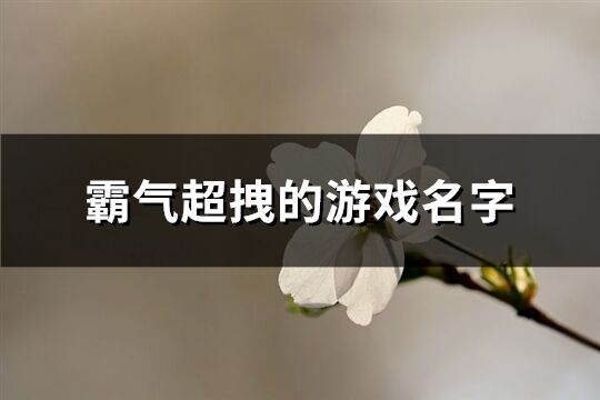 霸气超拽的游戏名字(精选656个)