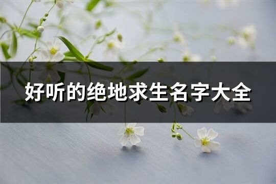 好听的绝地求生名字大全(516个)