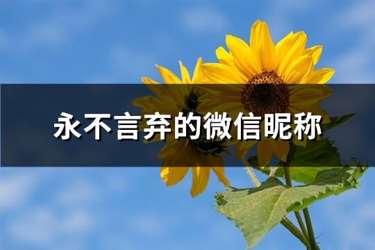 永不言弃的微信昵称(共226个)