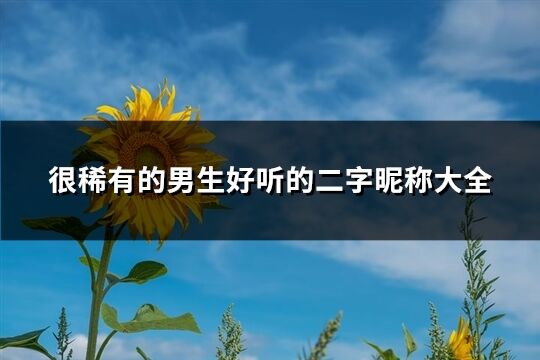 很稀有的男生好听的二字昵称大全(精选606个)