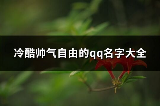 冷酷帅气自由的qq名字大全(精选249个)