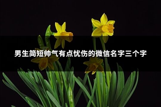 男生简短帅气有点忧伤的微信名字三个字(共317个)