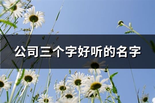 公司三个字好听的名字(精选54个)