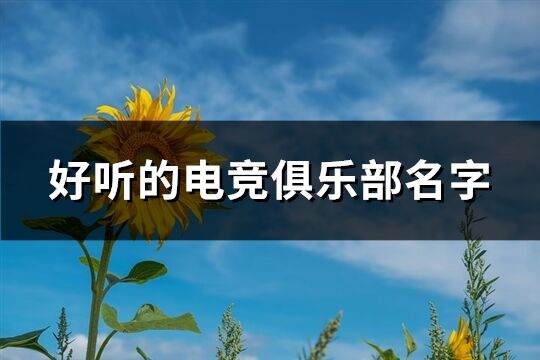 好听的电竞俱乐部名字(共161个)