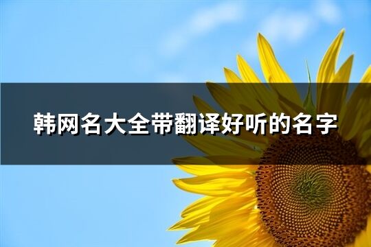 韩网名大全带翻译好听的名字(优选94个)