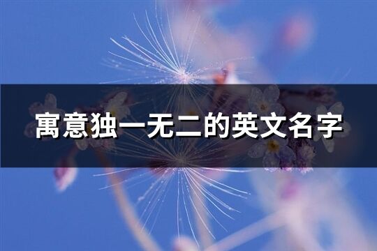 寓意独一无二的英文名字(精选84个)